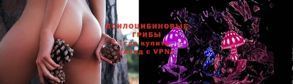 СК Балабаново