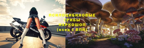 СК Медвежьегорск