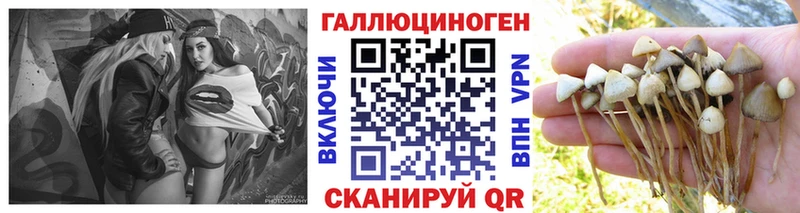 Псилоцибиновые грибы Magic Shrooms  где можно купить   Воткинск 