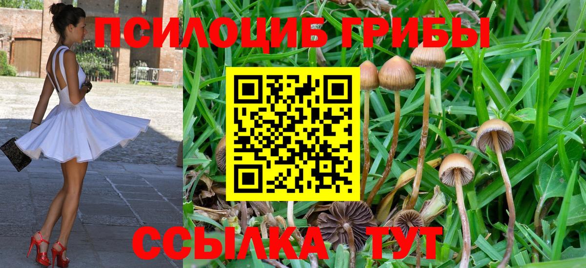 Галлюциногенные грибы прущие грибы  магазин  наркотиков  Воткинск  Вход с VPN  Галлюциногенные грибы Magic Shrooms 