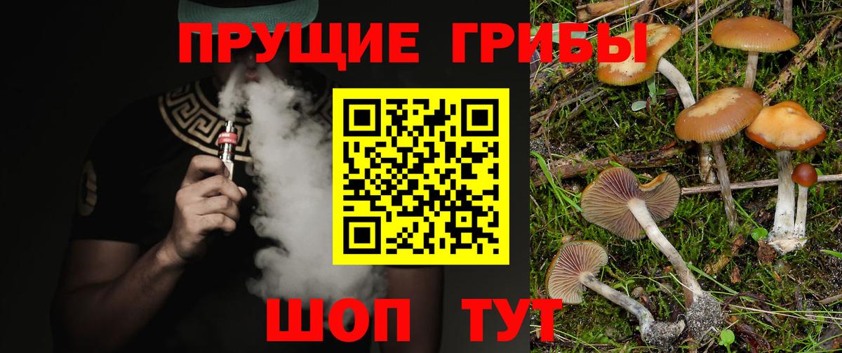 Галлюциногенные грибы Psilocybine cubensis Воткинск